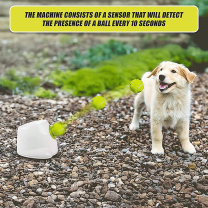 Automatic Dog Ball Launcher | Tennis Fetch Throwing Machine