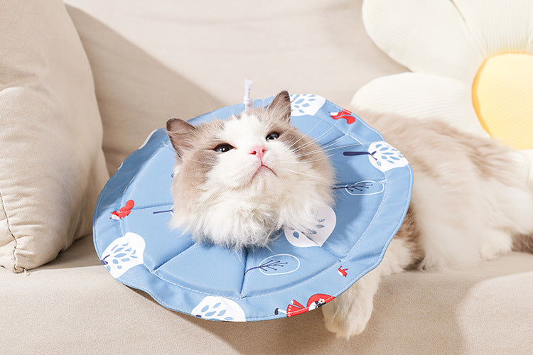 Blue Size L Waterproof Pet Recovery Collar Set (2 Pack) | Anti-Lick | Cats & Dogs