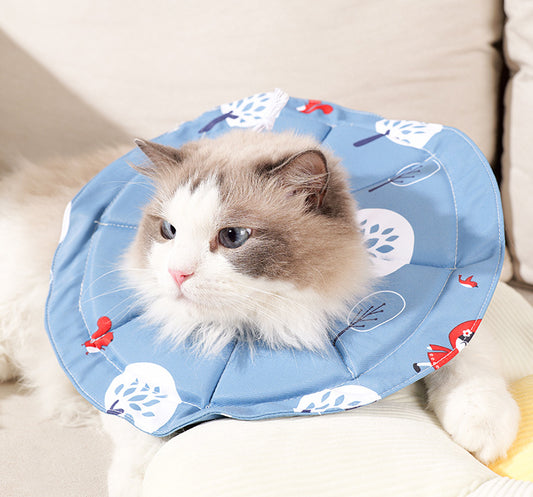 Blue Size M Waterproof Pet Recovery Collar Set (2 Pack) | Cats & Dogs