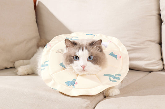 Beige Size S Waterproof Pet Recovery Collar Set (2 Pack) | Cats & Dogs