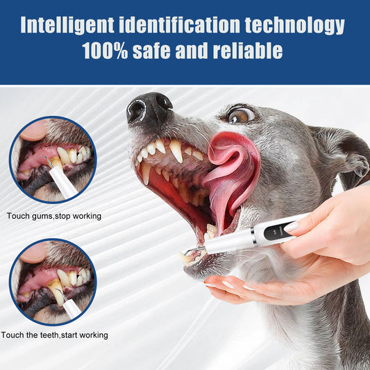 Black Professional Pet Dental Cleaning Kit | Dog & Cat