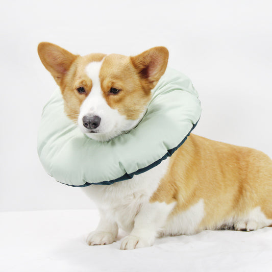 Green Adjustable Soft Elizabethan Recovery Collar for Pets | Size XXL