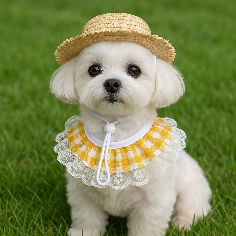 Khaki & Yellow Porch Goose Pet Costume Set | Summer Straw Hat & Gingham Bib | Small Pets