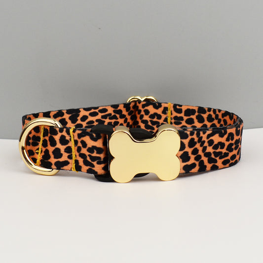 Leopard Print Dog Collar with Gold Metal Buckle | Size XL