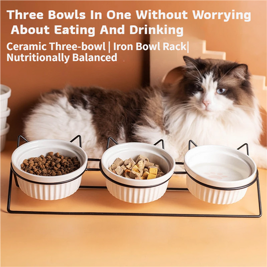Triple Slanted Ceramic Pet Bowl Set | Cat Paw