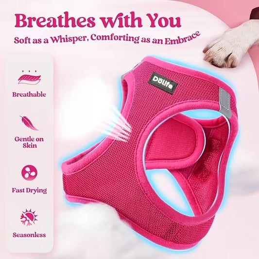 Black Breathable Dog Harness and Leash Set — Size: M