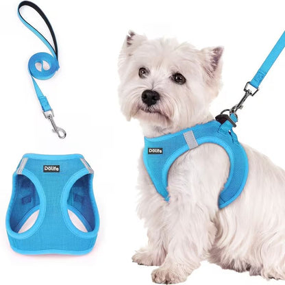 Blue Breathable Dog Harness and Leash Set — Size: S