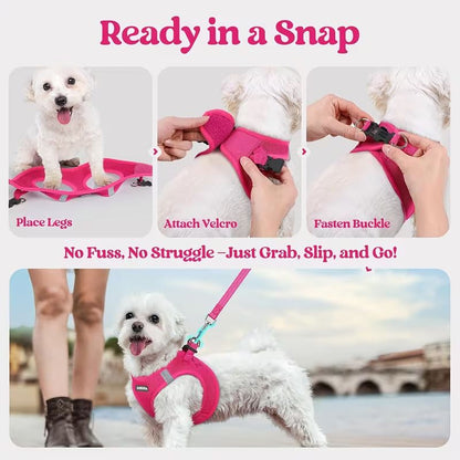 Blue Breathable Dog Harness and Leash Set — Size: XL