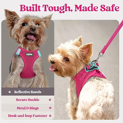 Rose red Breathable Dog Harness and Leash Set — Size: S