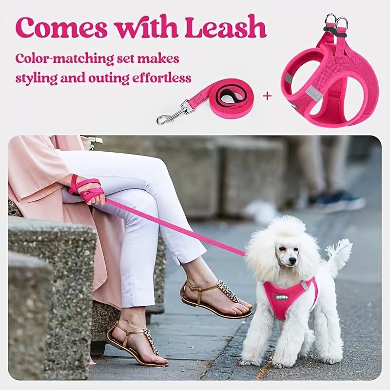 Rose red Breathable Dog Harness and Leash Set - Adjustable Reflective Pet Vest with Swivel Clip(Size: S)