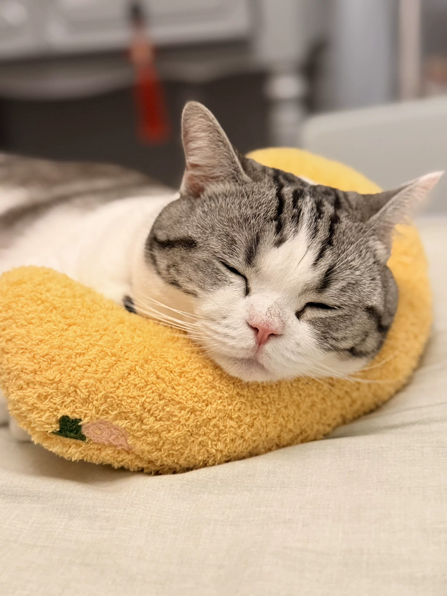 Pet U-Shaped Neck Support Pillow | Soft Teddy Velvet