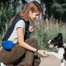 Gray Silicone Dog Training Treat Pouch with Adjustable Waist Belt