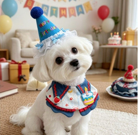 Size L Blue Pet Birthday Party Supplies Strawberry Cake Bib and Hat Set
